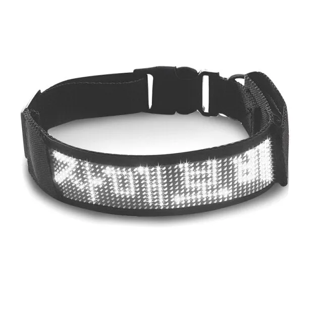 Mascotas Collar Reflectante